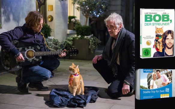 Verlosung zum Home- Entertainment- Start von BOB, DER STREUNER