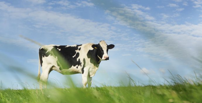 So kannst du den Priming-Effekt für deinen Erfolg nutzen