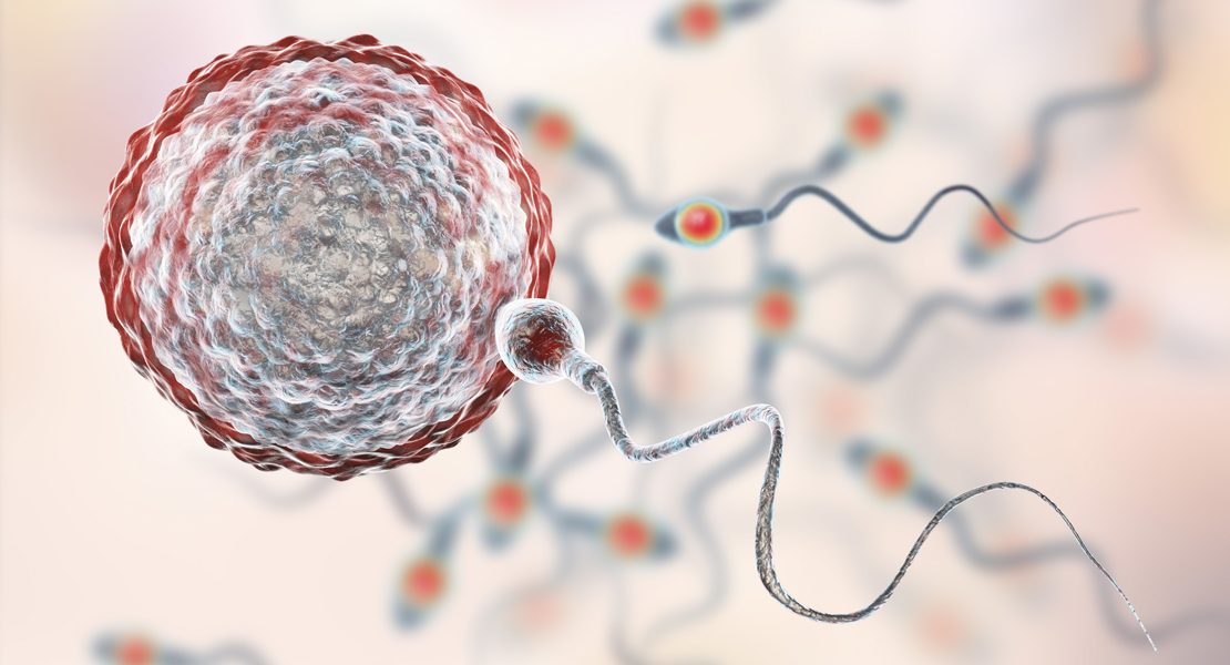 Wie lange kann Sperma überleben? AJOURE.de