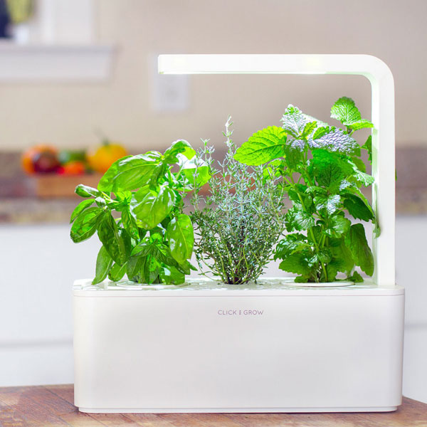 Click & Grow Smart Herb Garden