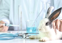 Kosmetik ohne Tierversuche