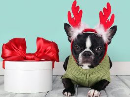 AJOURE´ X-Mas Gift Guide