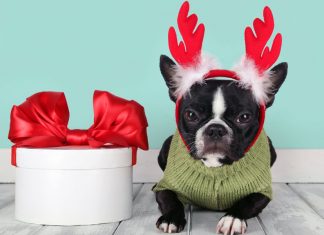 AJOURE´ X-Mas Gift Guide