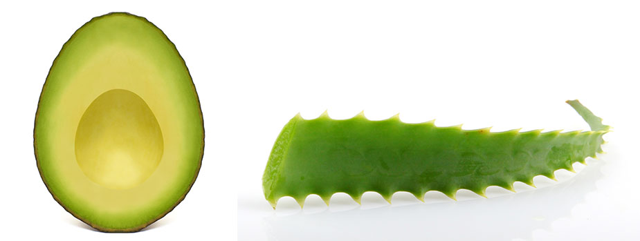 Avocado-Aloe-Vera-Haarkur