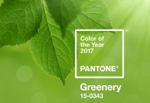 Pantone Farbe des Jahres 2017 Greenery
