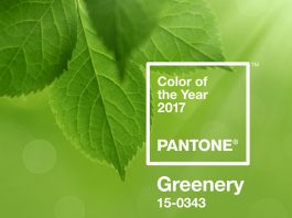 Pantone Farbe des Jahres 2017 Greenery