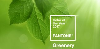 Pantone Farbe des Jahres 2017 Greenery