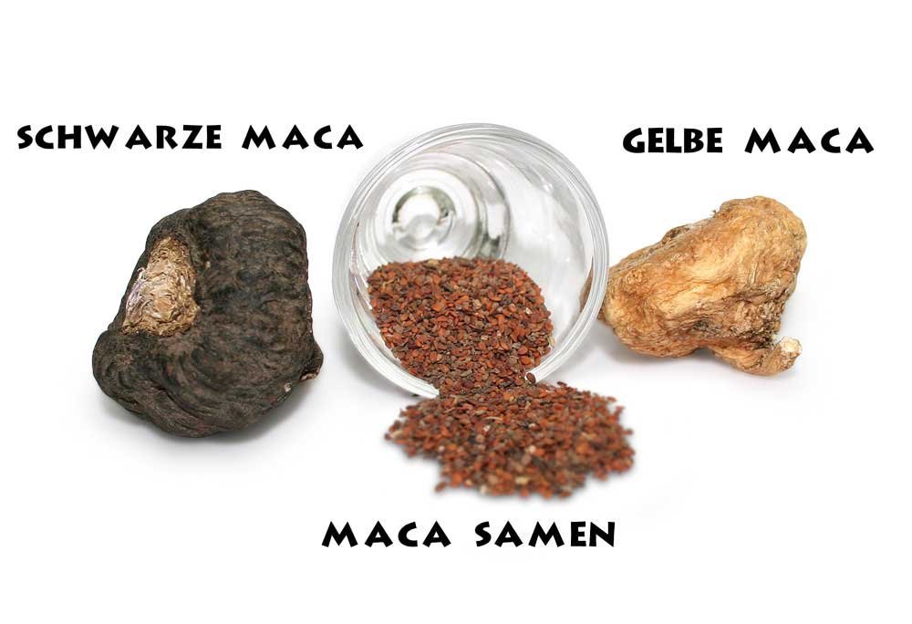 Maca Sorten