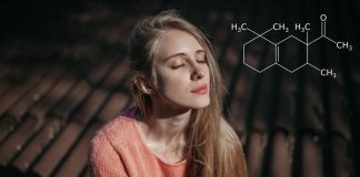 Tanz der Moleküle: Diese Düfte haben es in sich