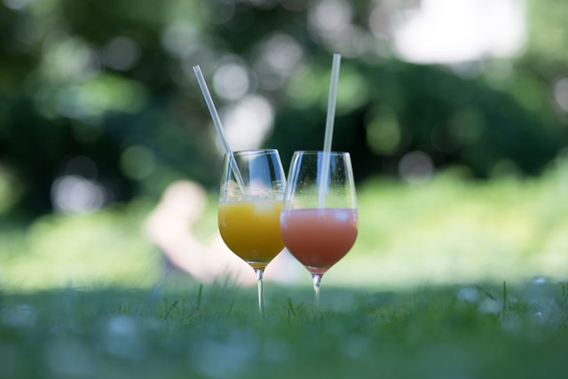 Käfer Frozen Cocktails