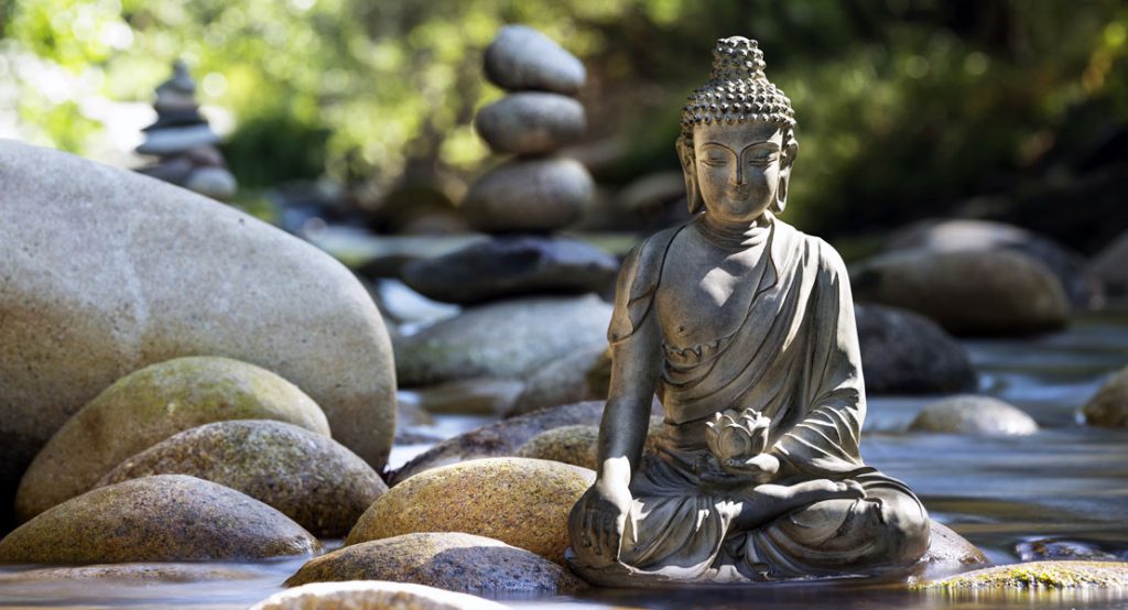 Ojas Stärke deine Lebenskraft und entdecke den Schlüssel zum Glück