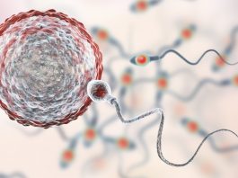 Wie lange kann Sperma überleben?