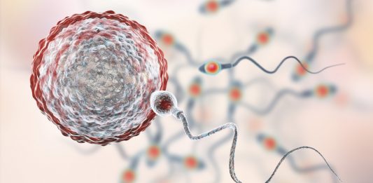 Wie lange kann Sperma überleben?