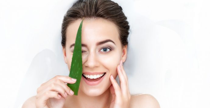 Aloe Vera: So gut ist die Beauty-Wunderwaffe