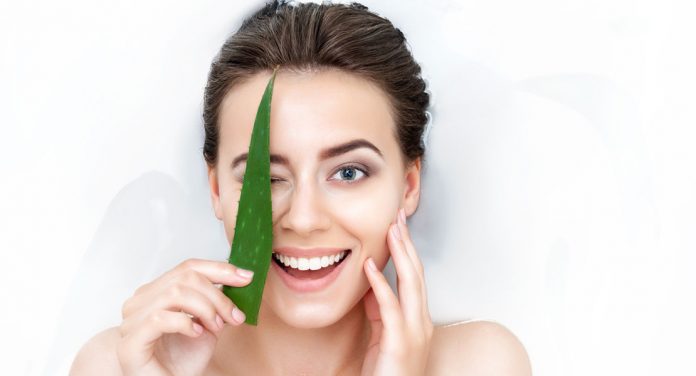 aloe-vera Aloe Vera