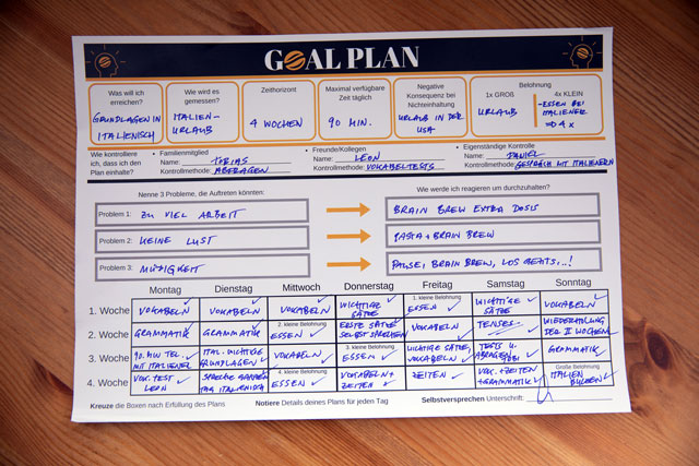 BRAIN BREW Goal Plan