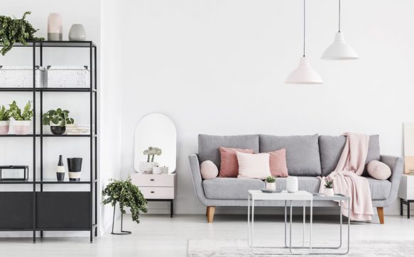 Diese 9 Zimmerpflanzen sorgen für eine positive Energie