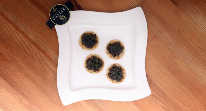 Attilus Kaviar
