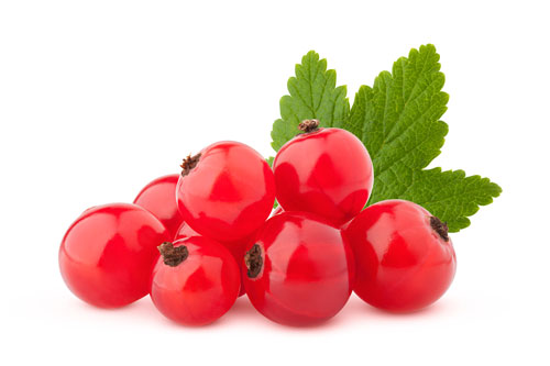 Johannisbeeren