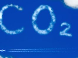 Flugscham: Wie sinnvoll ist eine CO2- Kompensation?