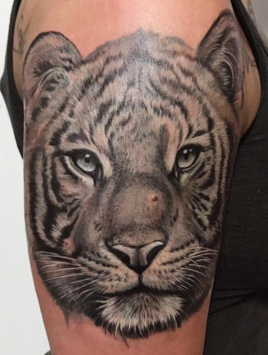 Raubkatzen Tattoo