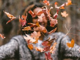 Happy im Herbst: Den Herbst-Blues mit einem gemütlichen und schönen Zuhause bekämpfen