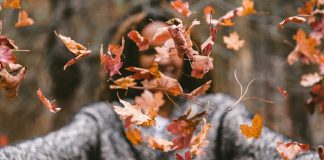 Happy im Herbst: Den Herbst-Blues mit einem gemütlichen und schönen Zuhause bekämpfen