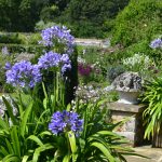 Garten im Frühling: Die besten Tipps für einen schönen Garten!