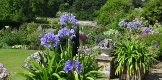 Garten im Frühling: Die besten Tipps für einen schönen Garten!