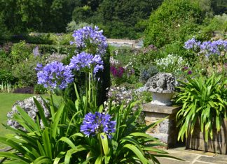 Garten im Frühling: Die besten Tipps für einen schönen Garten!