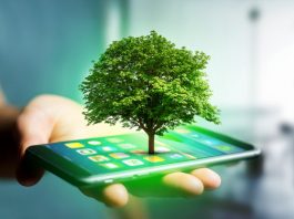 Die besten Öko-Apps für ein nachhaltigeres Leben