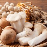 Pilze einfrieren, lagern und trocknen – diese Tipps solltest du beachten