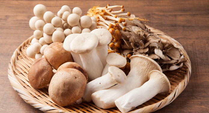 Pilze einfrieren, lagern und trocknen – diese Tipps solltest du beachten