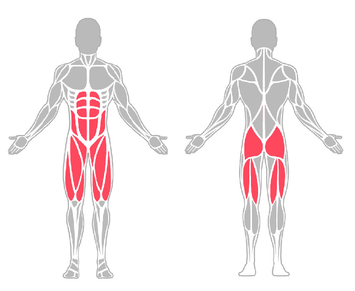 Beanspruchte Muskelgruppen Mountain Climber