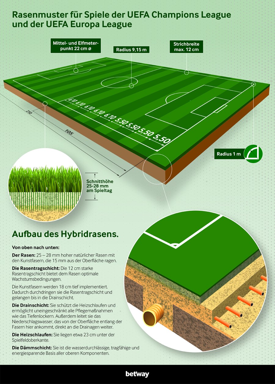 Grafik Rasenmuster von Betway