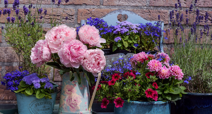 Die besten Blumen, um dein Zuhause zu dekorieren