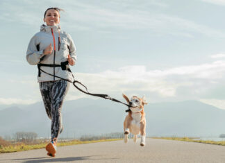 Joggen mit Hund: Darauf solltest du achten