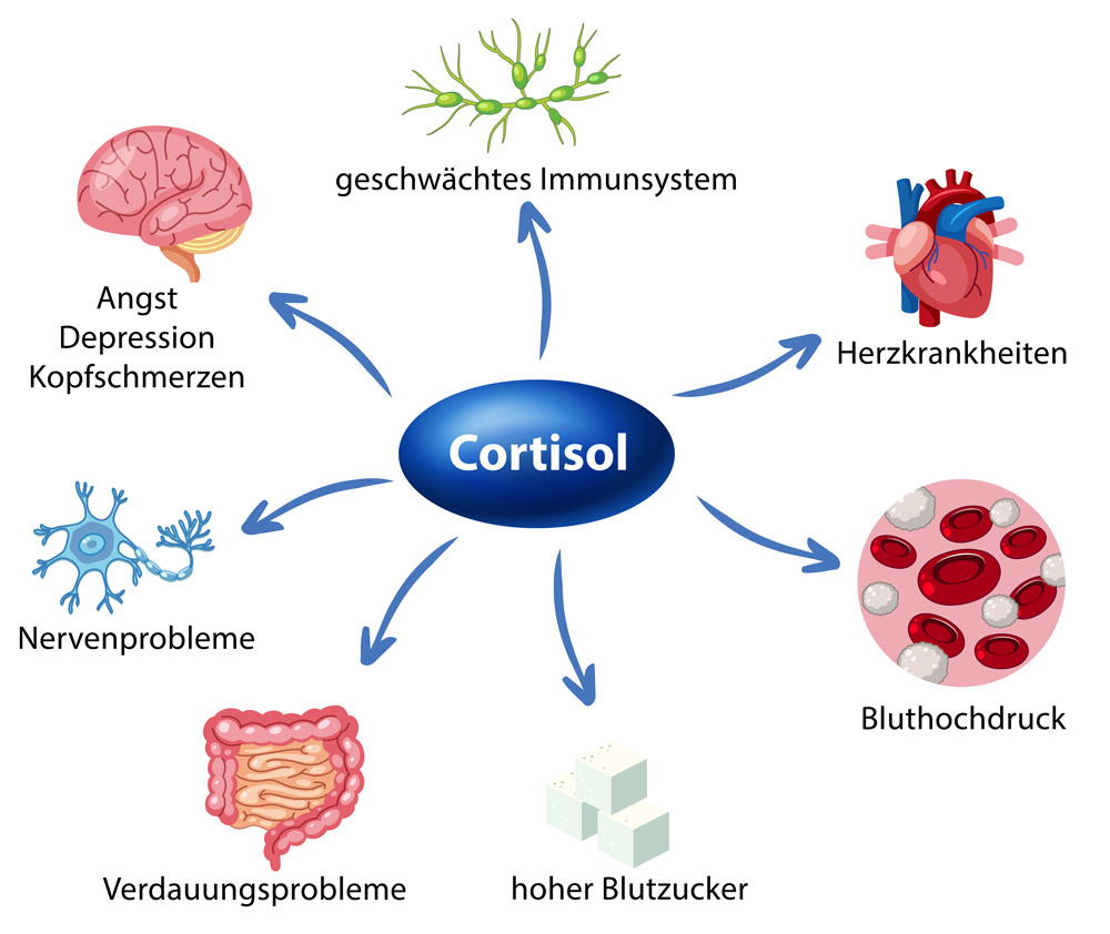 Cortisol Auswirkungen