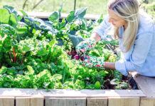 Geld sparen durch Garten