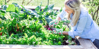 Geld sparen durch Garten