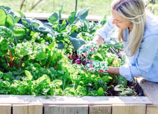 Geld sparen durch Garten