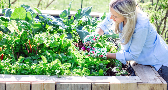 Geld sparen durch Garten