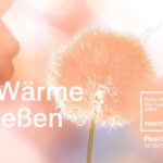 Pantone-Farbe des Jahres 2024: Peach Fuzz