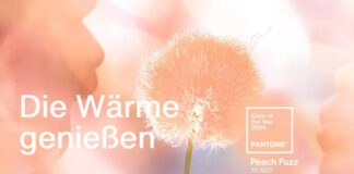 Pantone-Farbe des Jahres 2024: Peach Fuzz