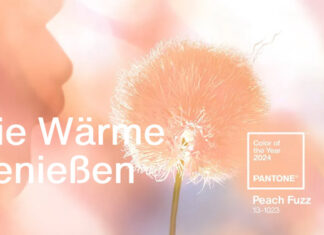 Pantone-Farbe des Jahres 2024: Peach Fuzz