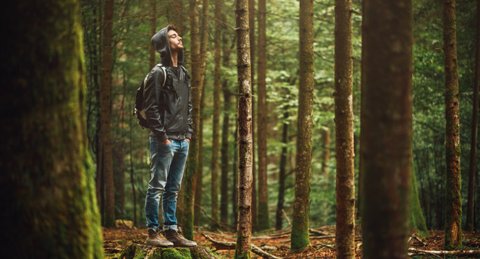 Tipps für deinen Waldspaziergang