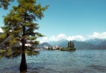 Blick über den Gardasee