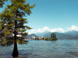 Blick über den Gardasee