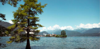 Blick über den Gardasee