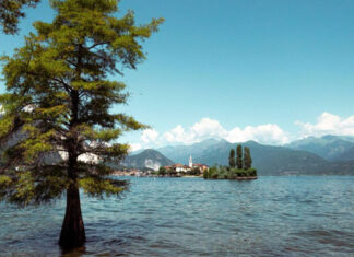 Blick über den Gardasee